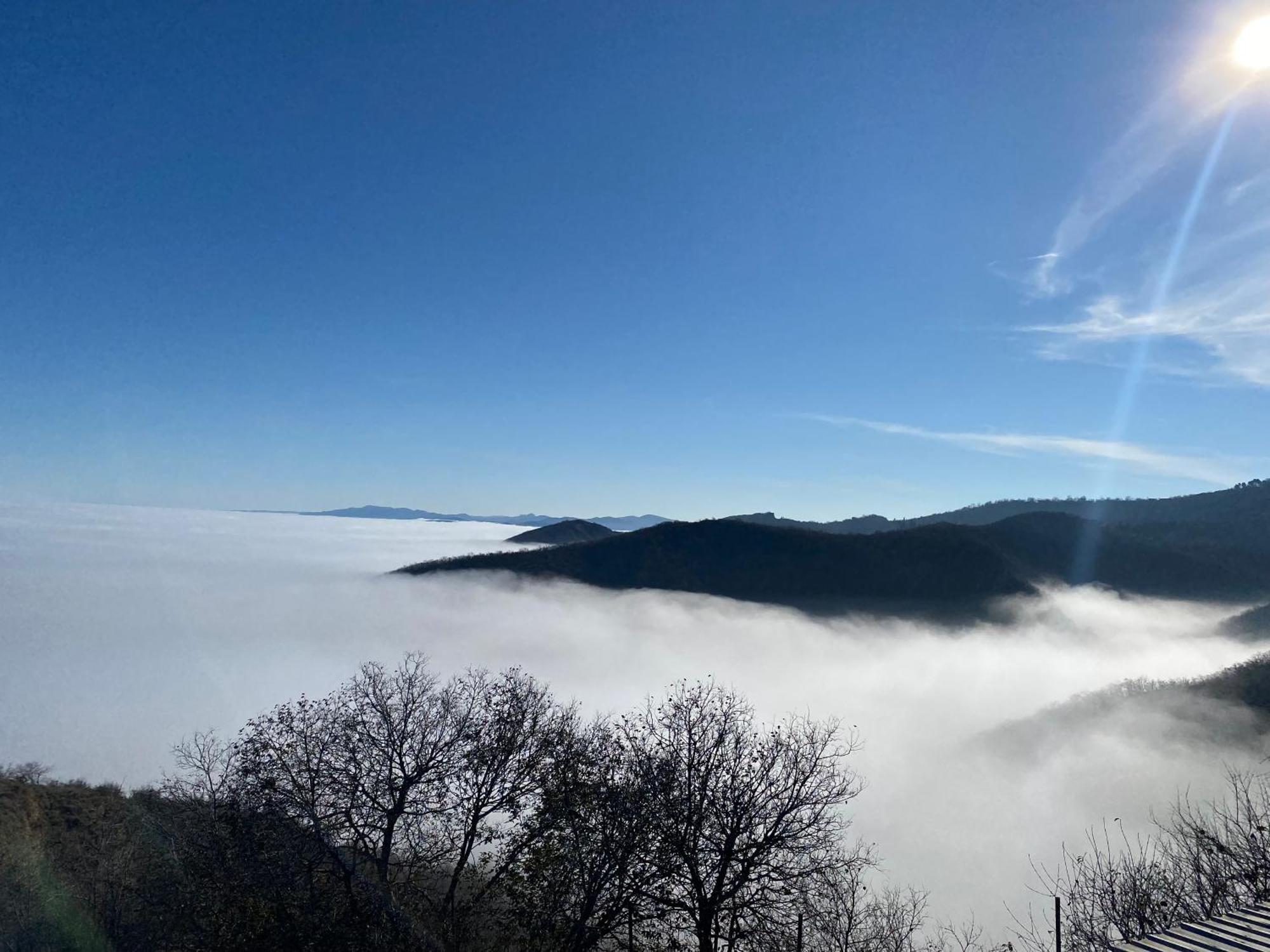 Отель Panorama Сигнахи Экстерьер фото